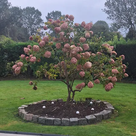 La Criniere D'or Raffinee Pour Parenthese De Douceur En Normandie בית אירוח Bonneville-la-Louvet