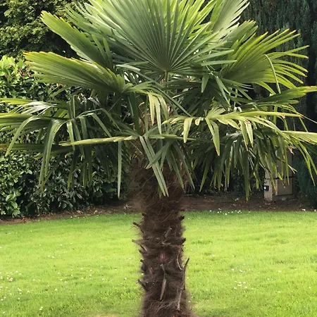 בית אירוח La Criniere D'or Raffinee Pour Parenthese De Douceur En Normandie