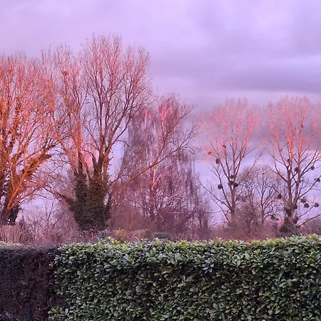 La Criniere D'or Raffinee Pour Parenthese De Douceur En Normandie בית אירוח Bonneville-la-Louvet