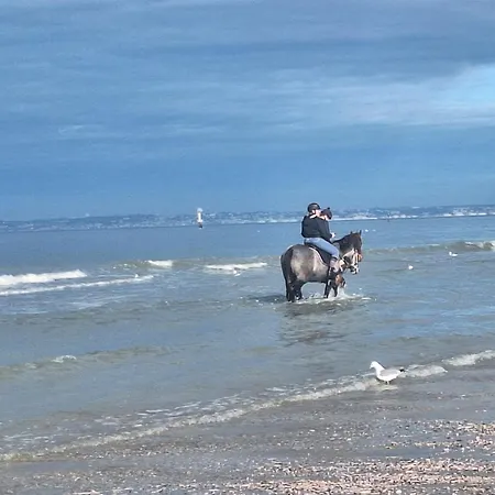 בית אירוח La Criniere D'or Raffinee Pour Parenthese De Douceur En Normandie Bonneville-la-Louvet