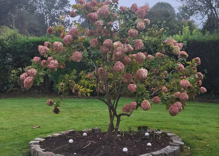 La Criniere D'or Raffinee Pour Parenthese De Douceur En Normandie منزل للإقامة Bonneville-la-Louvet