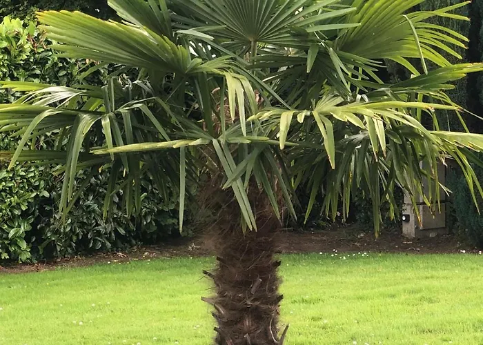 منزل للإقامة La Criniere D'or Raffinee Pour Parenthese De Douceur En Normandie