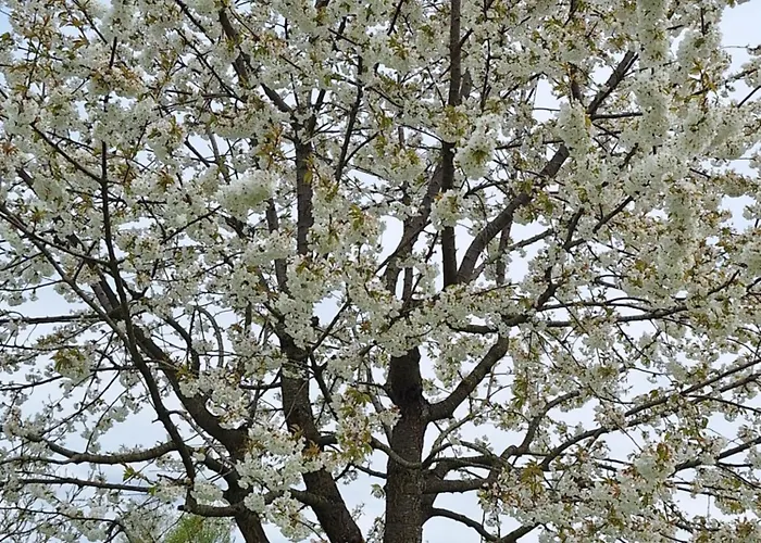 La Criniere D'or Raffinee Pour Parenthese De Douceur En Normandie