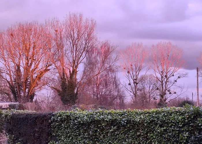 La Criniere D'or Raffinee Pour Parenthese De Douceur En Normandie منزل للإقامة Bonneville-la-Louvet