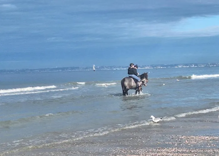 منزل للإقامة La Criniere D'or Raffinee Pour Parenthese De Douceur En Normandie Bonneville-la-Louvet